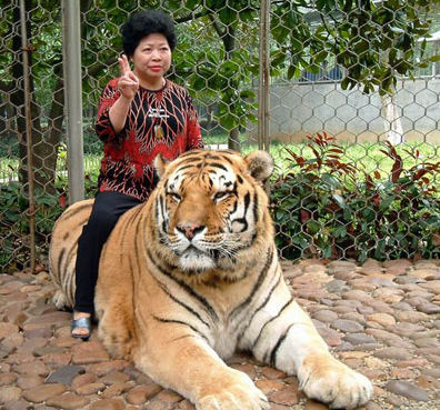 woman-on-tiger.jpg